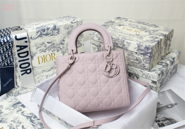 Dior Bags AAA 009
